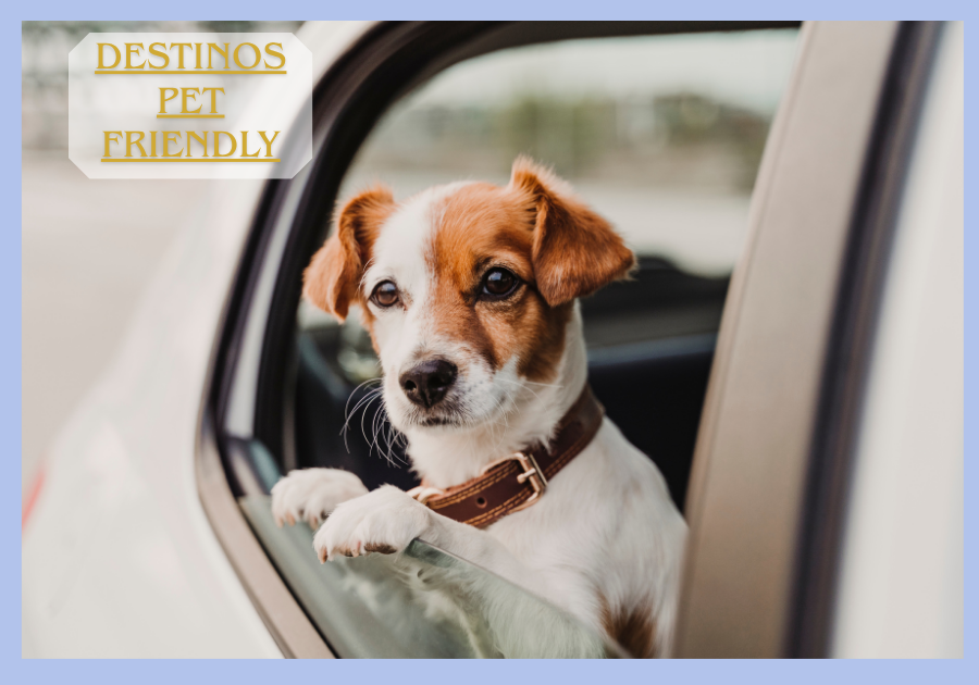 destinos pet friendly