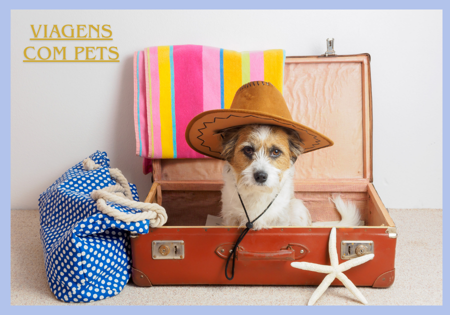 Viagens com pets