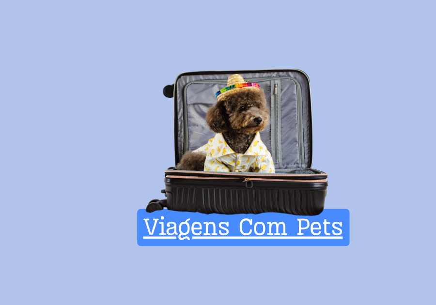 Viagens com pets