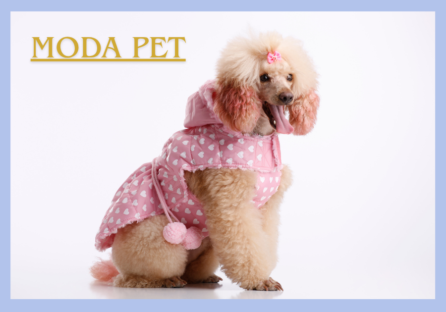 Moda Pet