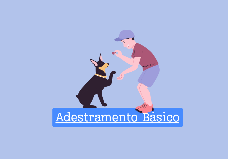 Adestramento básico