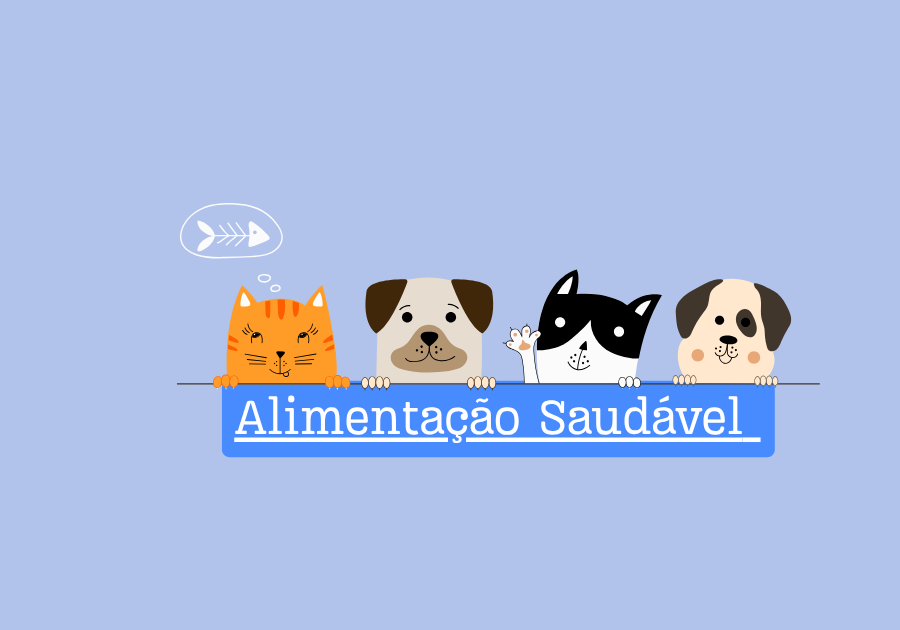 alimentação saudável para cachorro