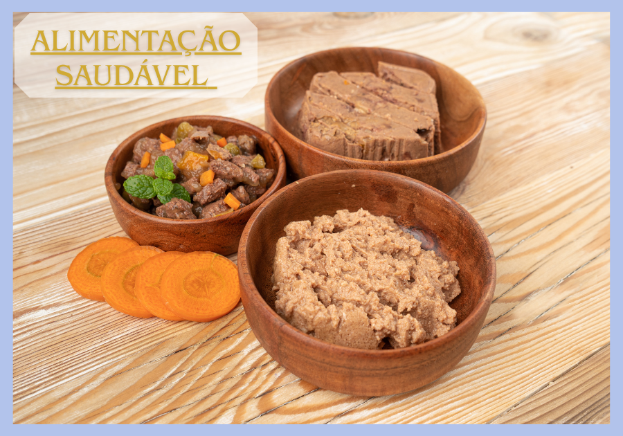 alimentação saudável para cachorro