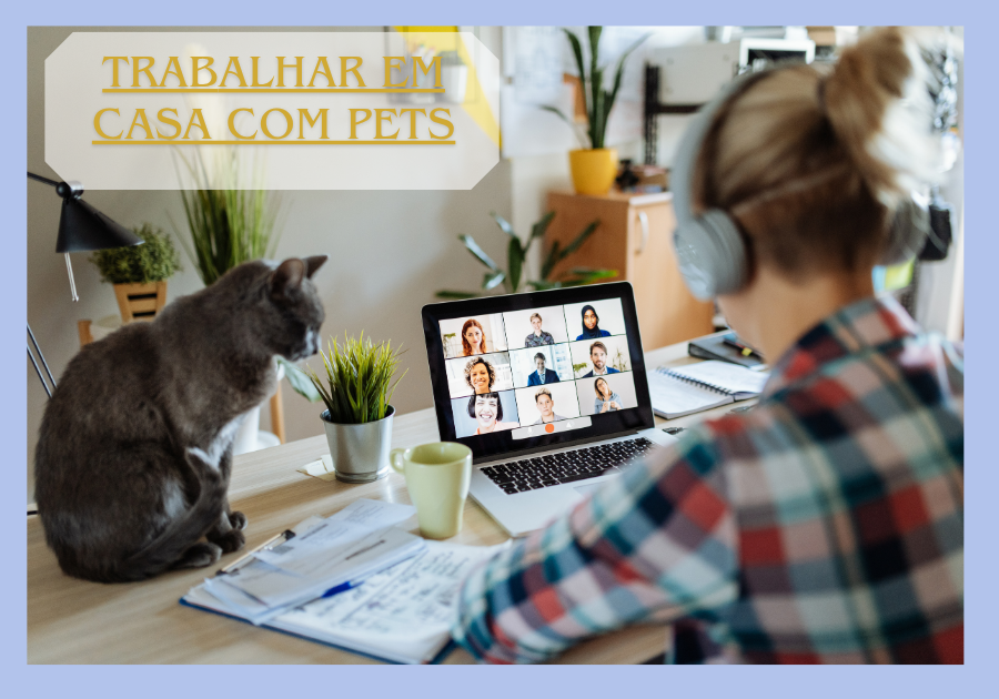 Trabalhar Em Casa Com Pets