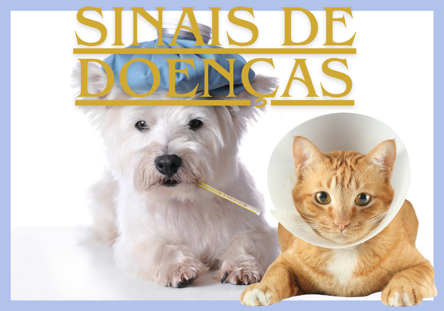 Sinais de Doenças em cães e gatos