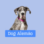 Dog Alemão